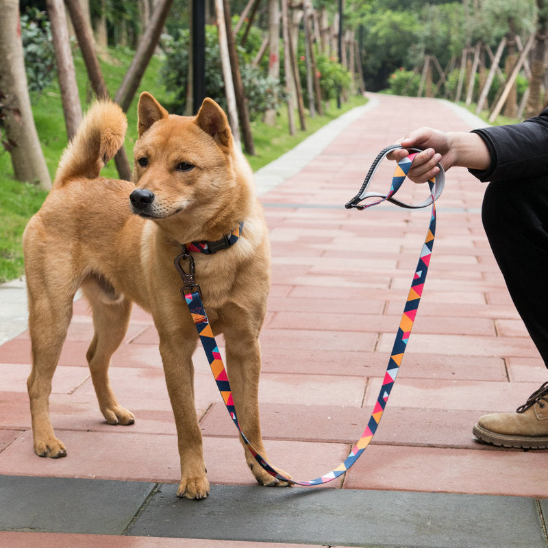 The Perfect Dog Leash for Every Adventure