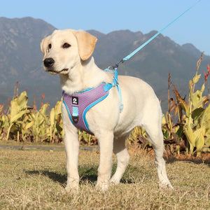 The Ultimate Breathable Pet Harness and Adjustable Leash