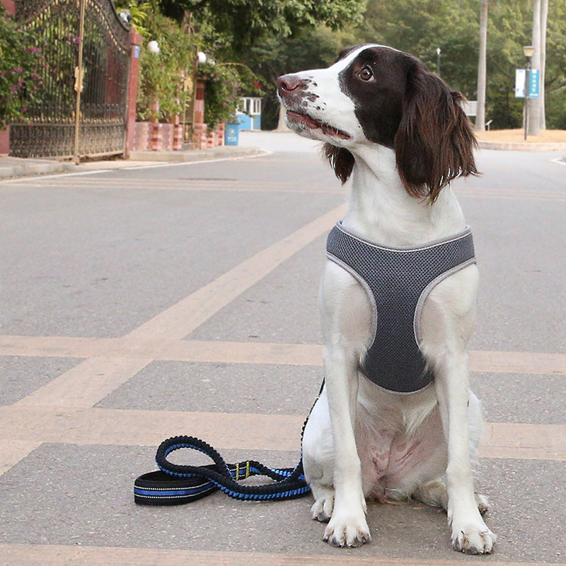 Discover the Ultimate Comfort and Control with the Dog Leash Vest Pet Harness Bullfight