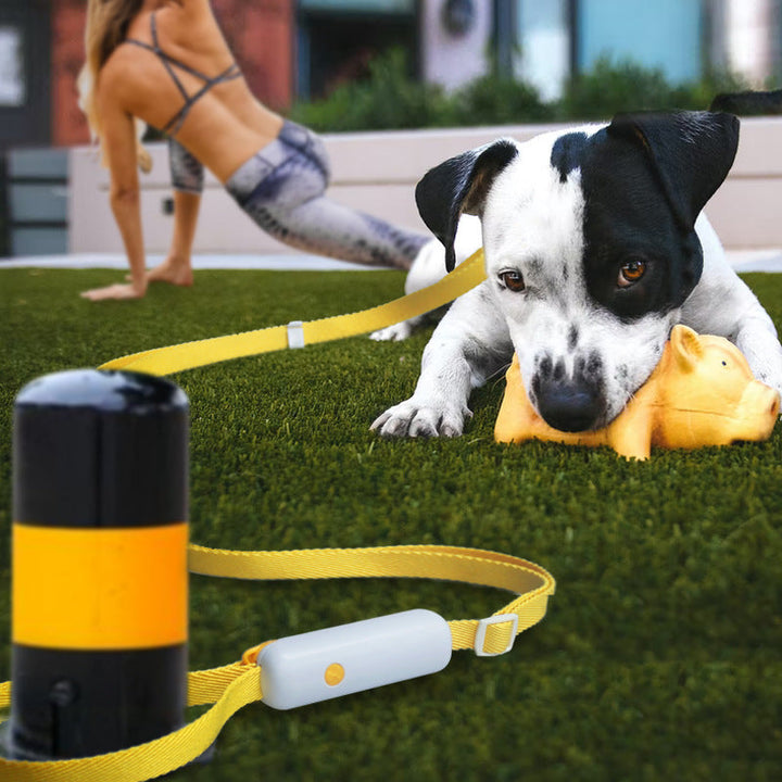 Pet Supplies Retractable Adjustable Dog Leash: The Ultimate Walking Companion
