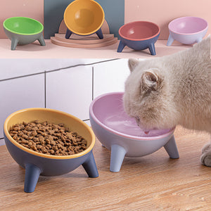 Elevate Your Pet's Dining Experience with Our Stylish Cat Dog Bowl with Stand