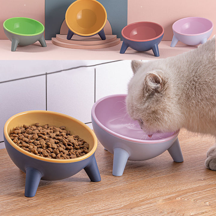 Elevate Your Pet's Dining Experience with Our Stylish Cat Dog Bowl with Stand