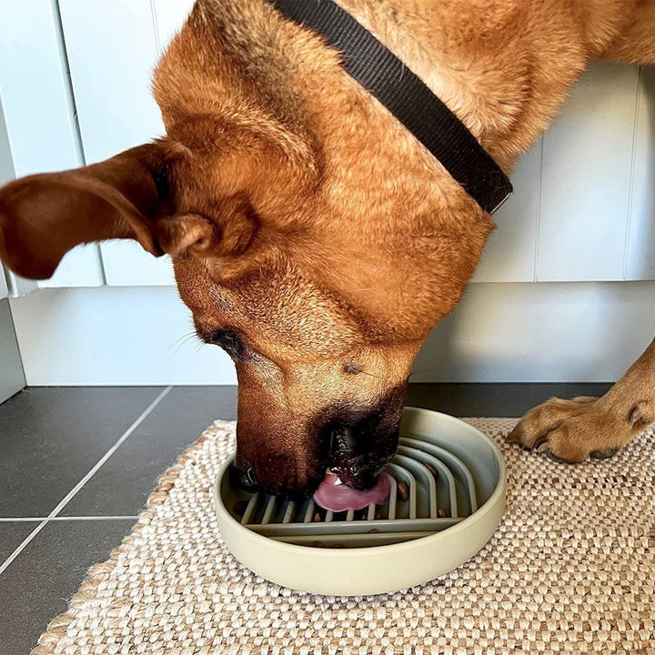 Elevate Your Pet's Dining Experience with Our Stylish Slow Feeding Bowl