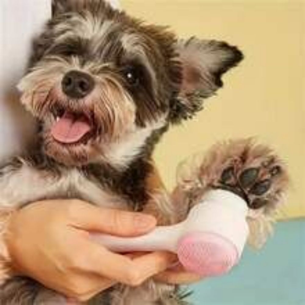 Easy Clean Nylon Pet Paw Brush: The Essential Grooming Tool for Your Pets