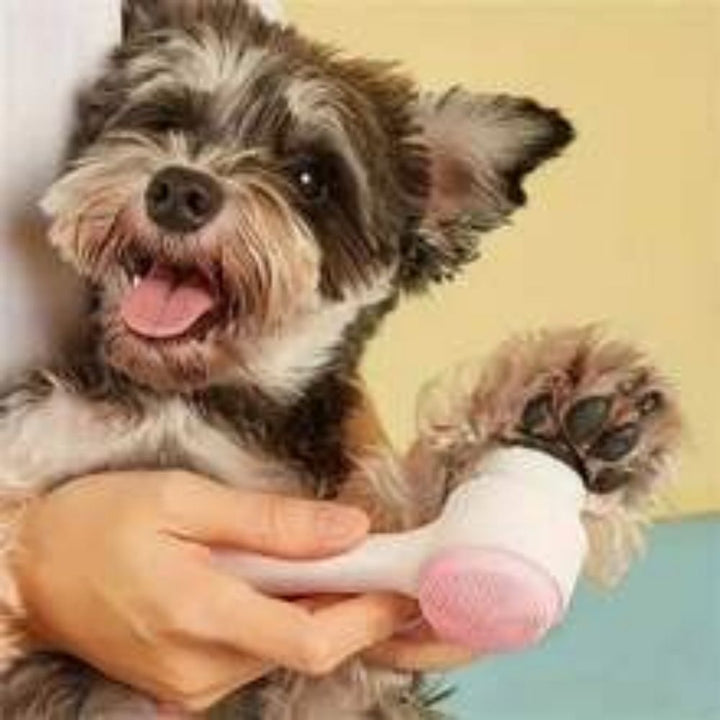 Easy Clean Nylon Pet Paw Brush: The Essential Grooming Tool for Your Pets