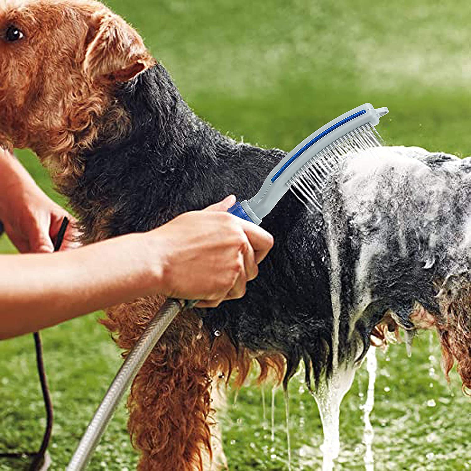 Transform Bath Time with the Pet Bath Brush Shower