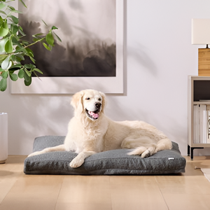 Cozy Beds and Comfort Essentials