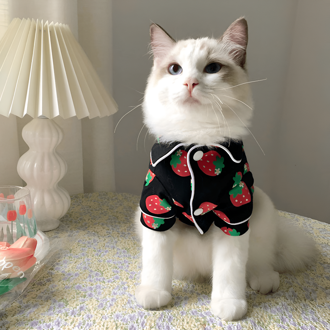 Stylish and Practical Pet Apparel