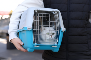 Safe and Reliable Pet Carriers