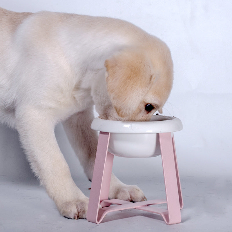Pet Creative Antislip Cat Feeding Bowl