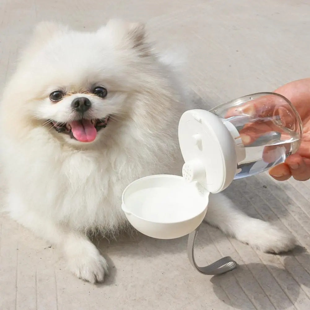 Portable Outdoor Pet Water Bottle Cup