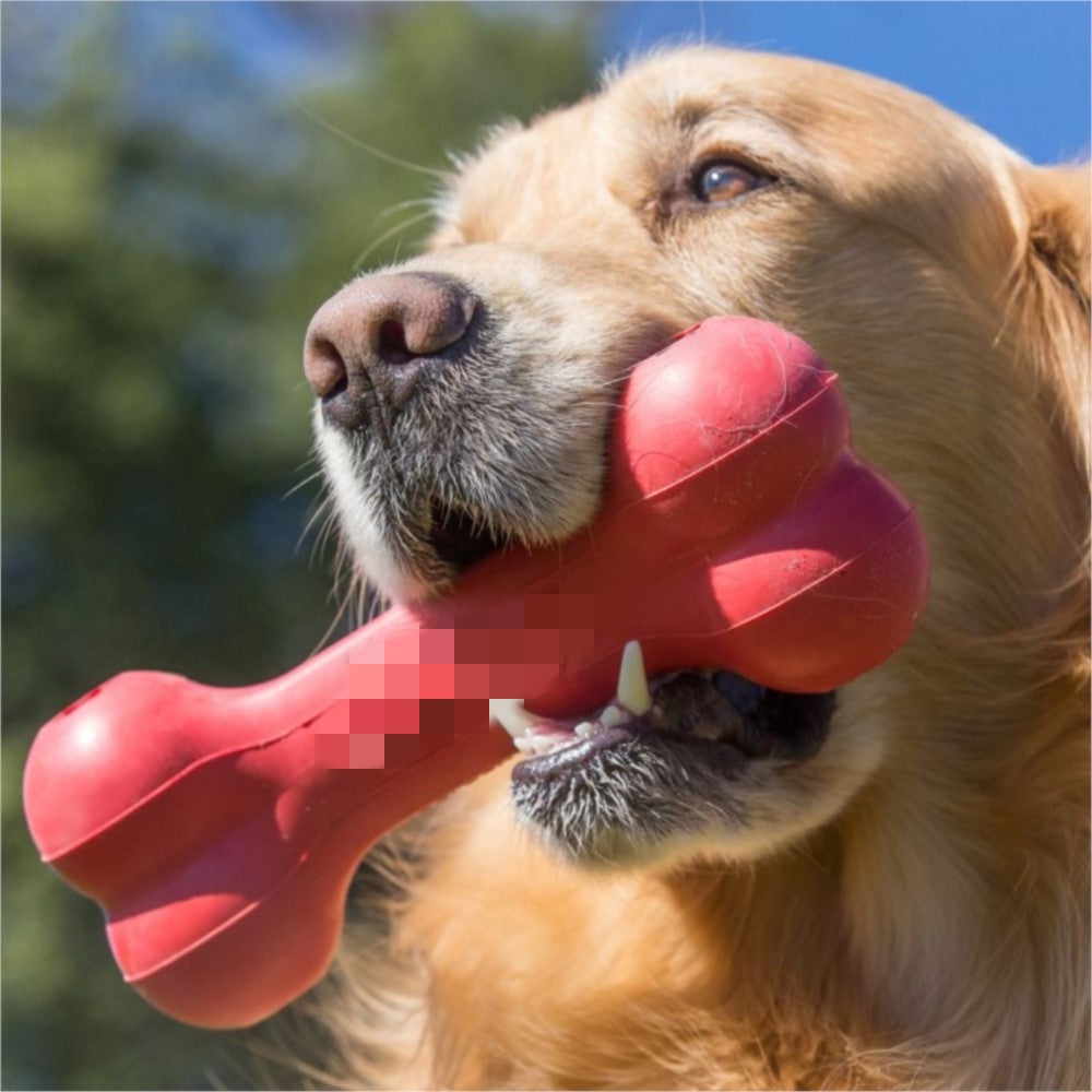 Dog Bite Resistant Rubber Teeth Grinding Toys