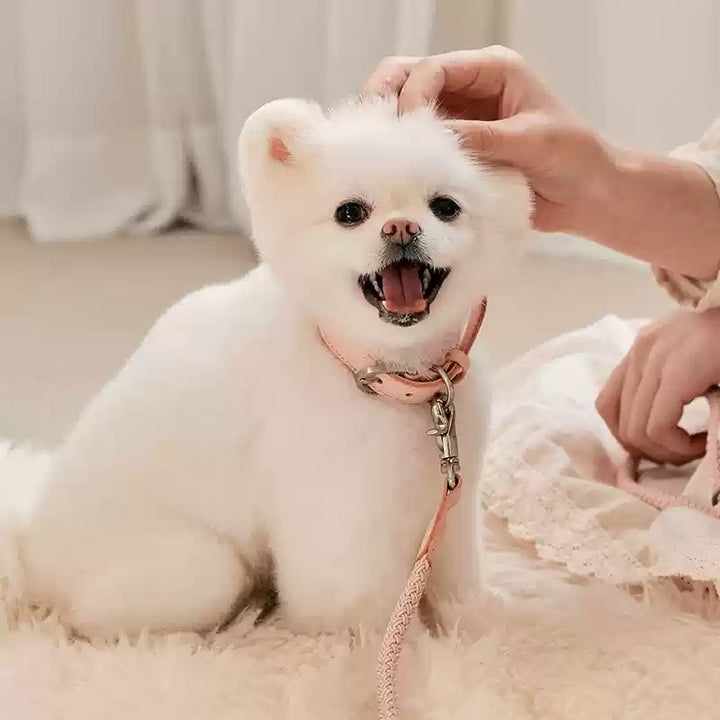 Dog Collar Leather Hand Holding Rope Dog Leash