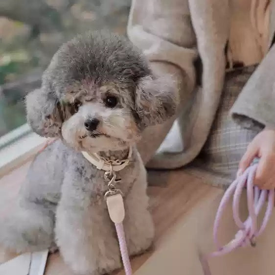 Dog Collar Leather Hand Holding Rope Dog Leash