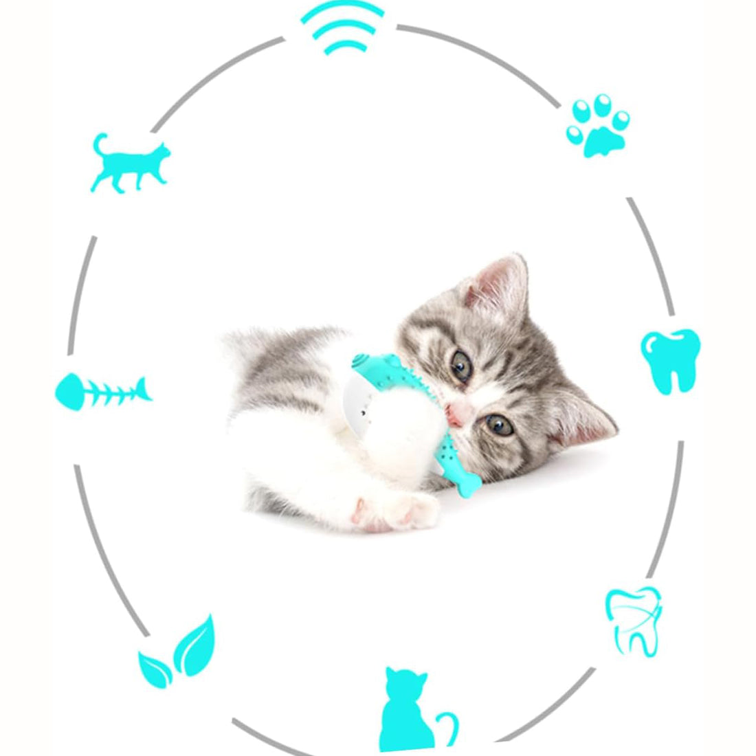 Mint Grabbing Chew Toys