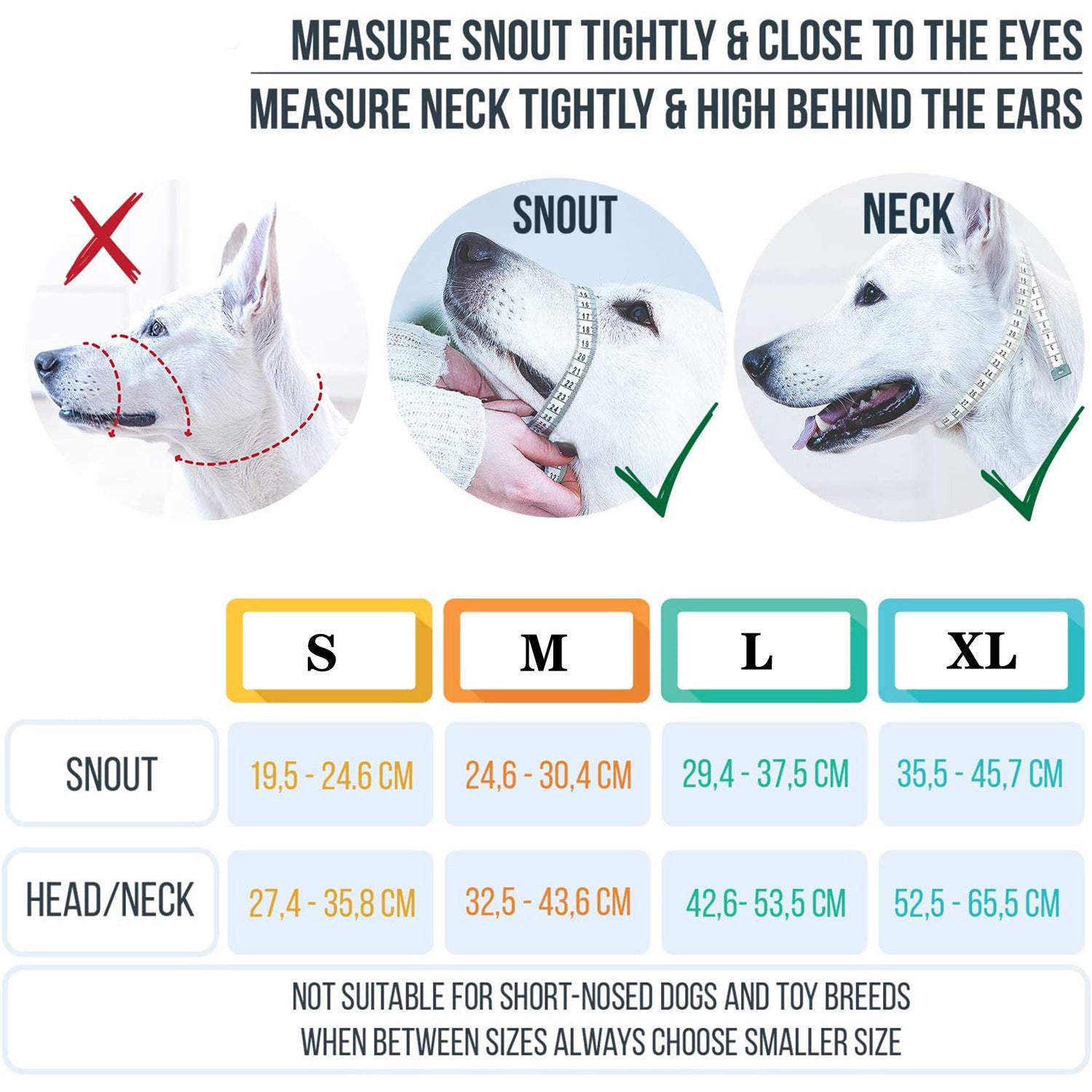 Pet Dog Mouth Cover Rope Leash