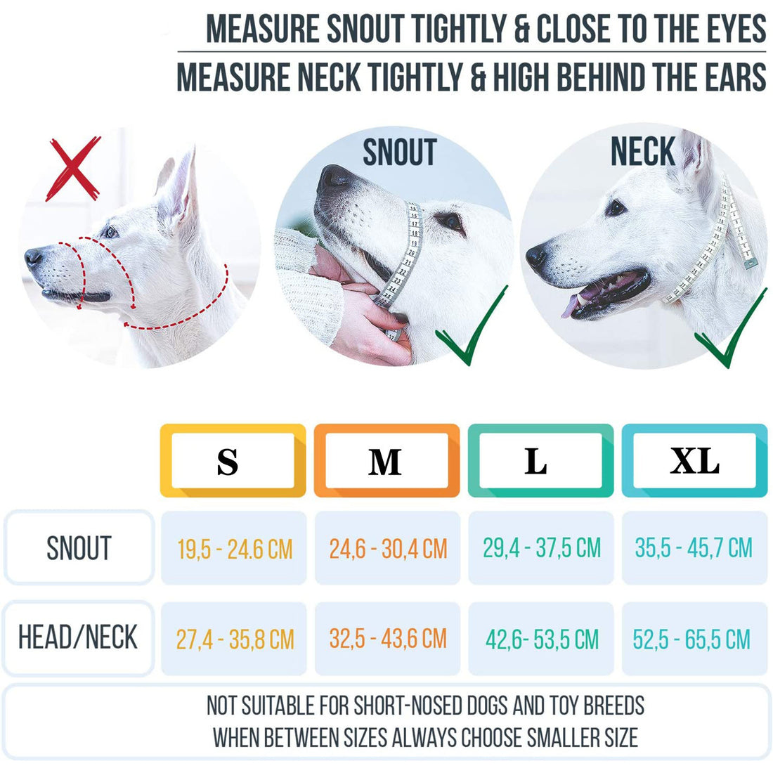 Pet Dog Mouth Cover Rope Leash