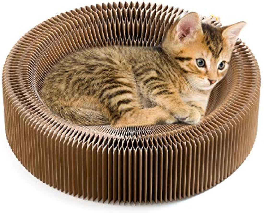 Collapsible Cat Scratcher Lounge Bed