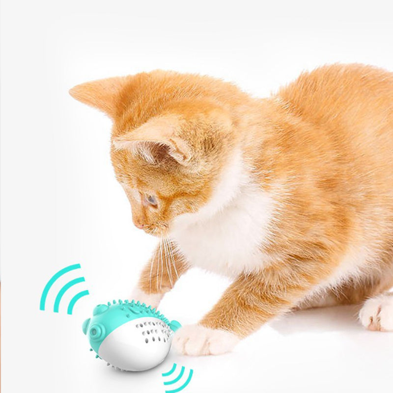 Mint Grabbing Chew Toys