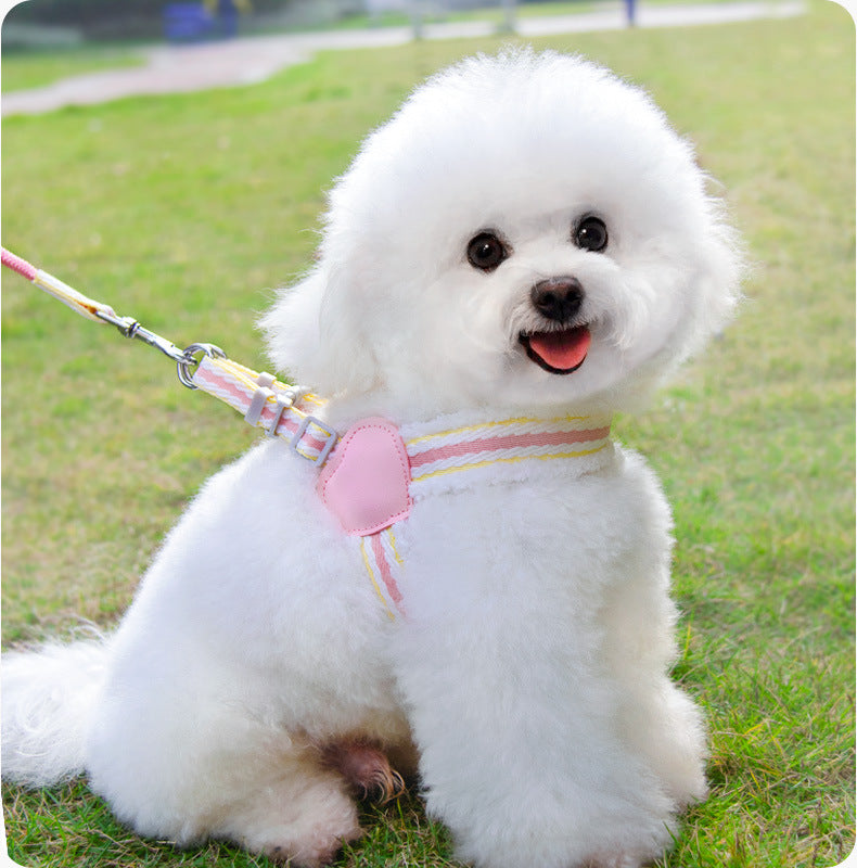 Dog Summer Breathable Walking Leash