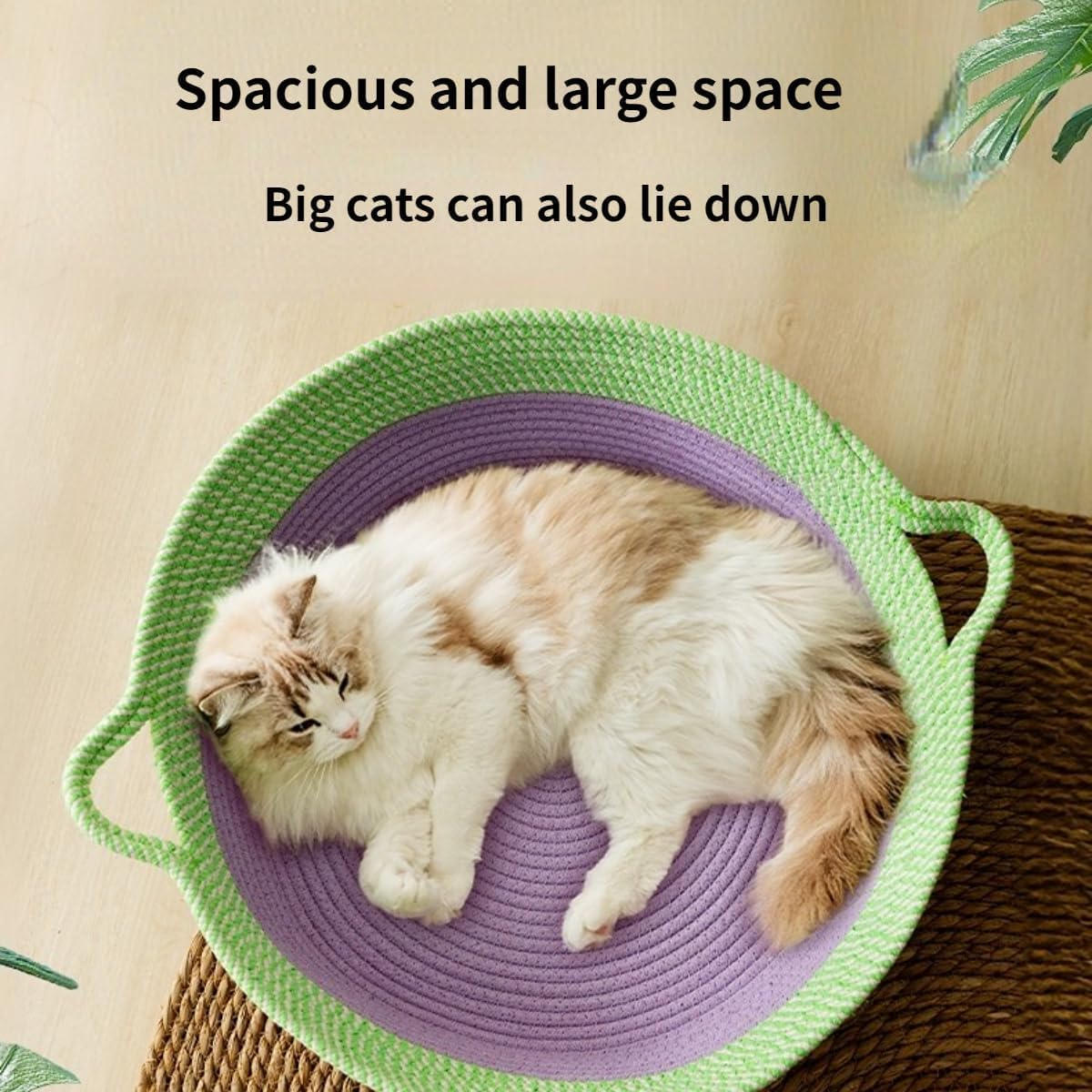 Scratch Round Pet Bed