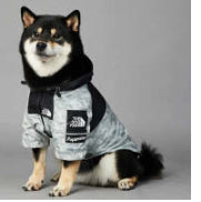 Rainproof Large Dog Raincoat Pet Shell Jacket