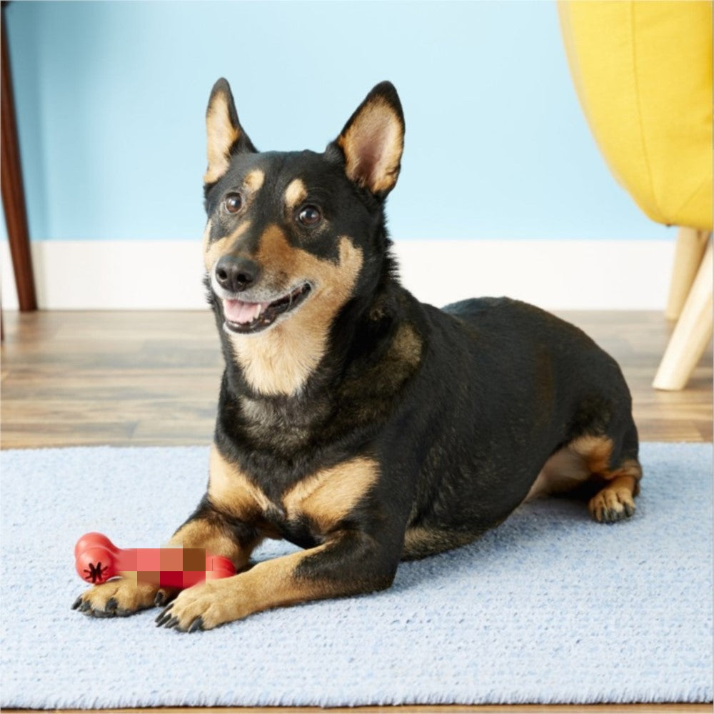 Dog Bite Resistant Rubber Teeth Grinding Toys