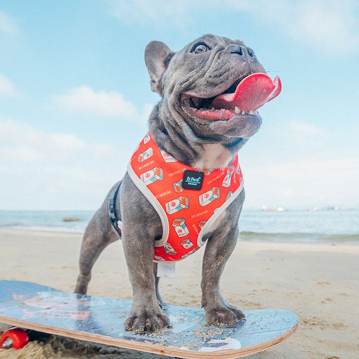 Pet Chest Strap Dog Leash