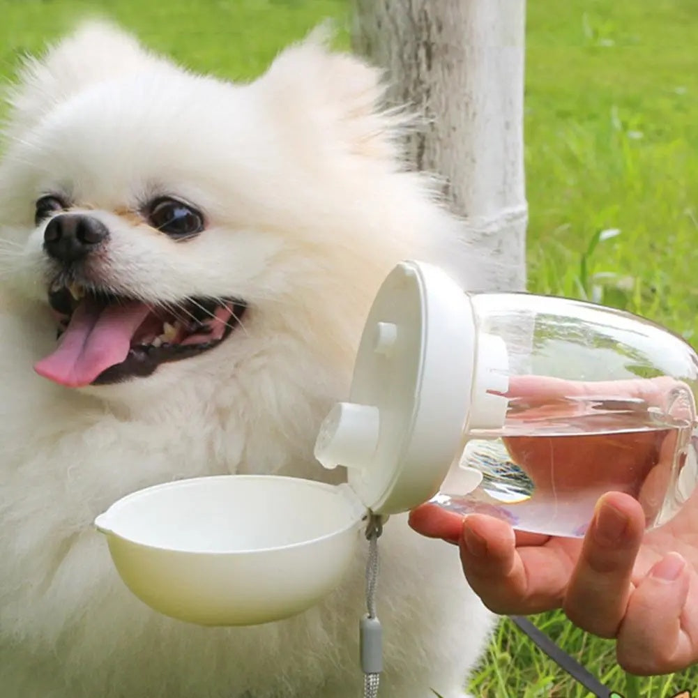 Portable Outdoor Pet Water Bottle Cup
